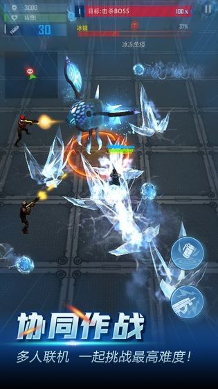 31110434ygv4.jpg