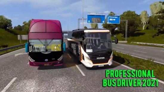 专业巴士司机2021(Professional bus driver 2021)