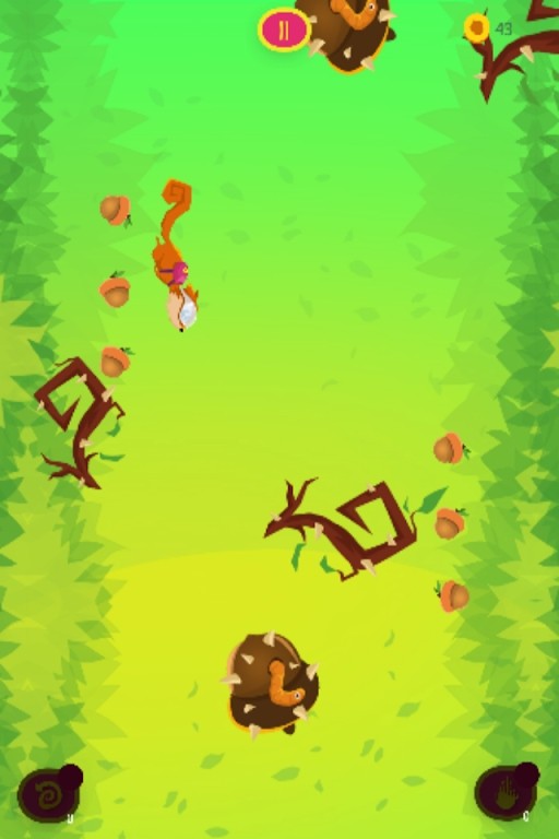 花栗鼠小秋天(Cute Chipmunk)