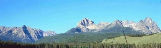 运动钓鱼模拟(Fishing rain)