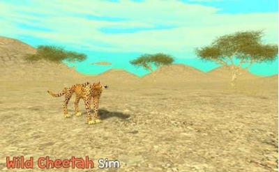 野生猎豹模拟器(Wild Cheetah Sim)