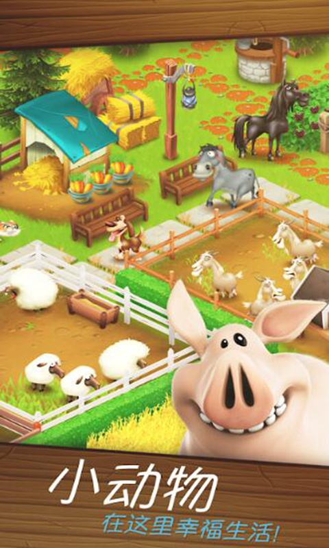 卡通農(nóng)場(Hay Day)