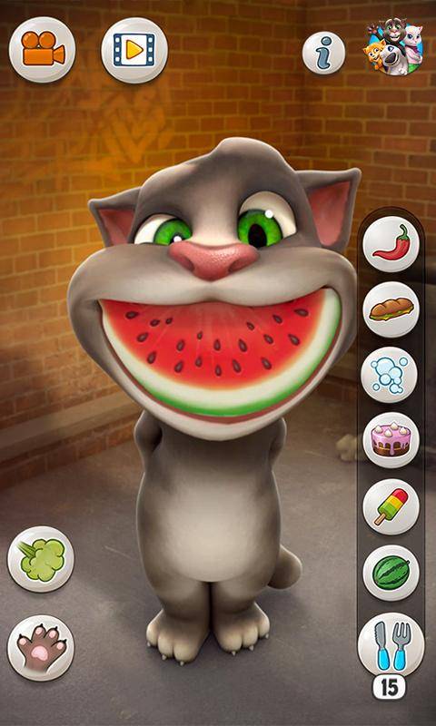 汤姆猫说话(Talking Tom Cat)