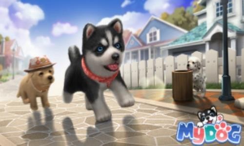 7ef6109f8e1b1392_600_0 (1).jpg