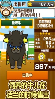 291607120qtl (1).jpg