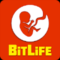 比特生活模拟器(BitLife)