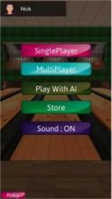 3D保龄球突破大师(Bowling)