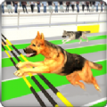 (Rival Stars Greyhounds Dog Racing Game)