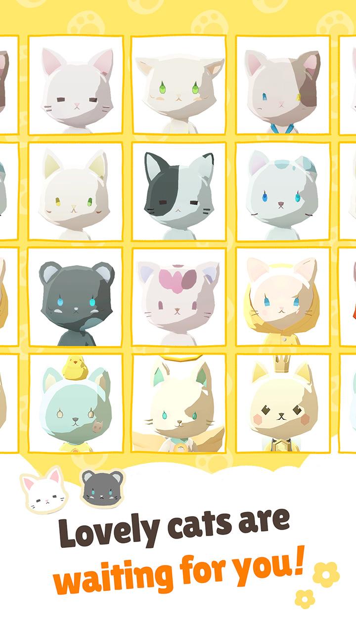 亲爱的我的猫咪 亲爱的我的猫咪