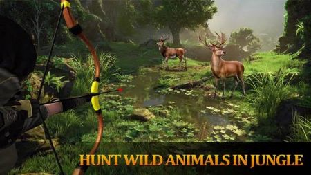 野生丛林动物猎人(Bow Arrow Deer Hunt Simulator Virtual Hunter Game)