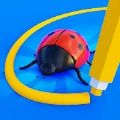 抓住虫子(Catch the Bug)