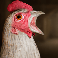 �Լ�������ս