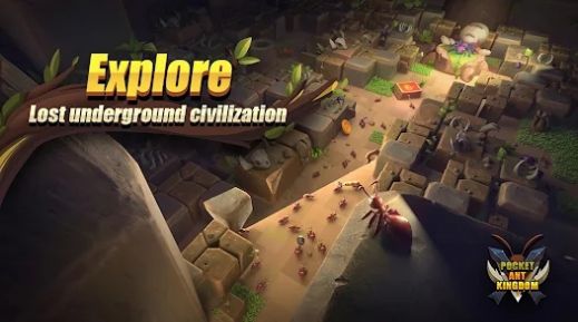 2023041117483622428 (1).jpg