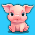 Сũ(Tiny Pig)