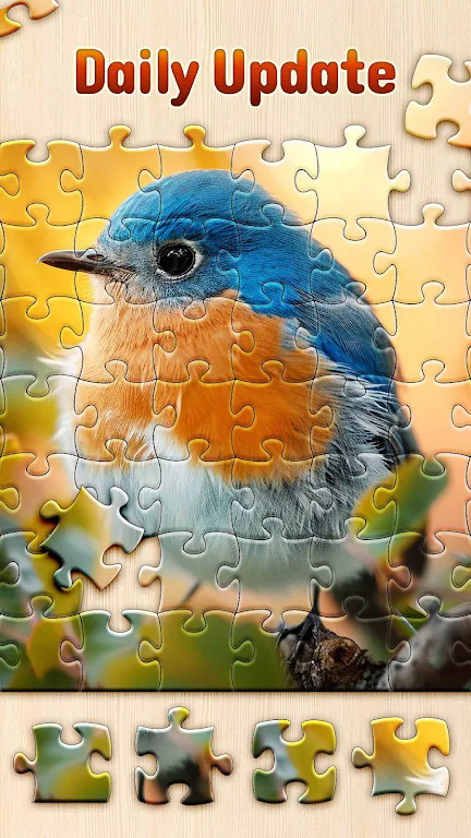 多彩的拼图(Jigsaw Puzzles)