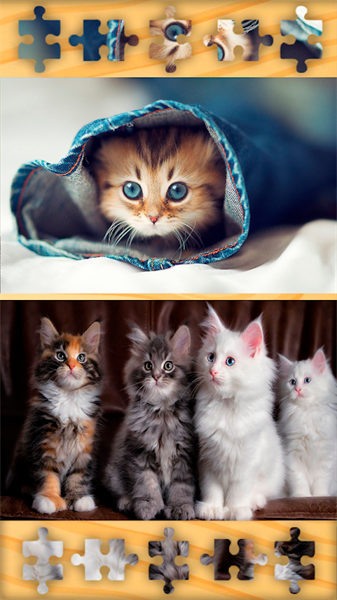 可爱猫猫拼图(Cats Jigsaw)