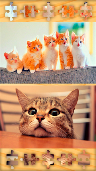 可爱猫猫拼图(Cats Jigsaw)