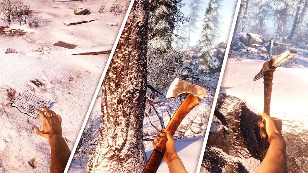 冬季荒野生存模拟(Winter Wild Survival Simulator)