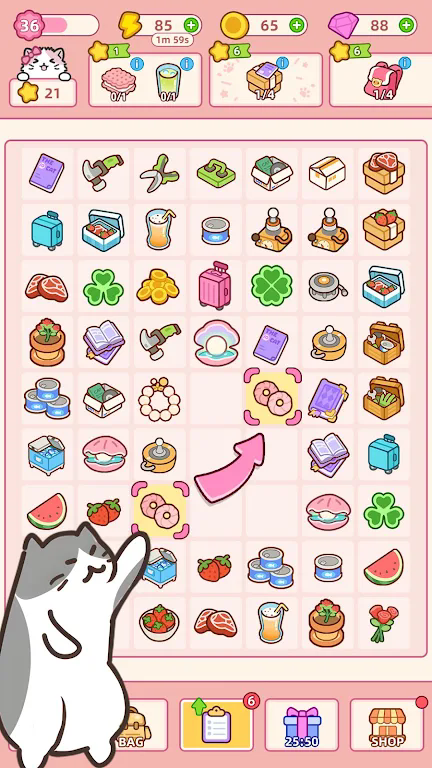 可爱的猫咪大厦(cute cat mansion:kawaii kitty)