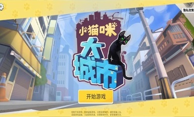 小猫咪大城市