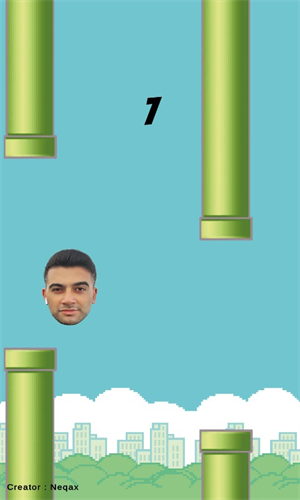 创造小鸟(Create Bird)