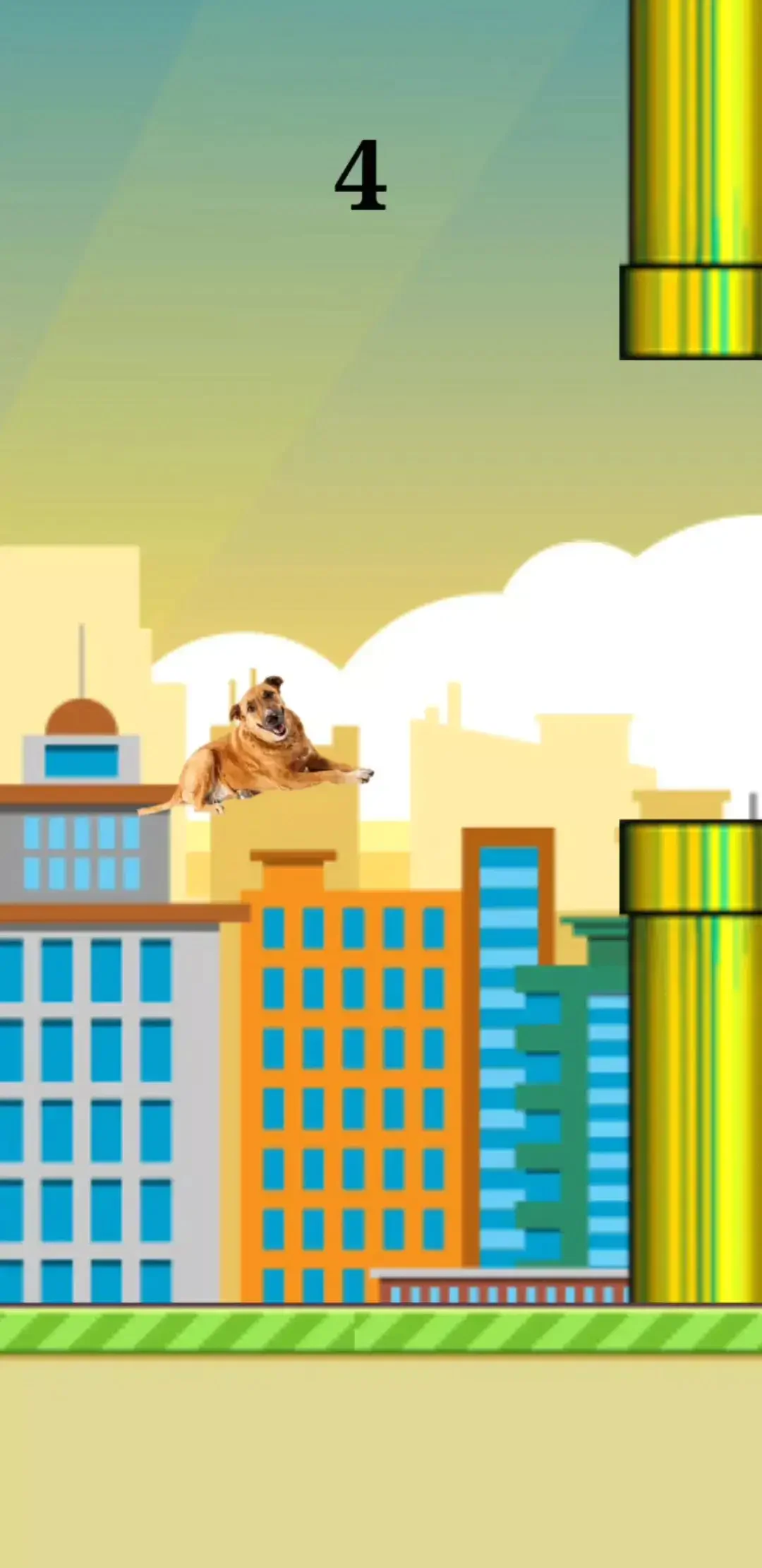 狗头的飞跃(Flappy Vira Lata Caramelo)