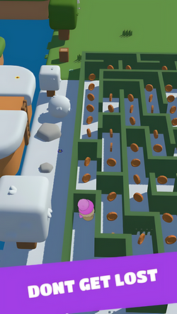 迷宫疾驰(Maze SpeedRunner)