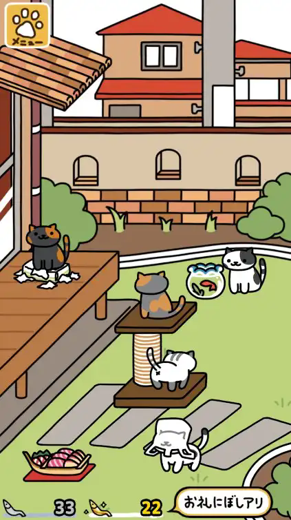 猫咪收集