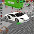齿轮停车试驾(Gear Car Parking Test Driving)