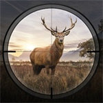 狩猎狙击手3D国际服(Hunting Sniper 3D)