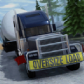 Ŀģ(Real Truck Simulator)