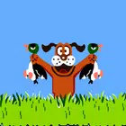 射鸭子(Duck Shoot)